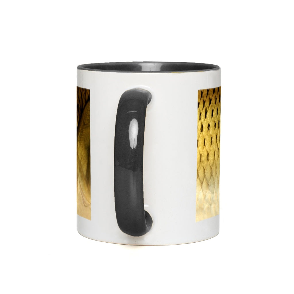 generated-proPreview-2