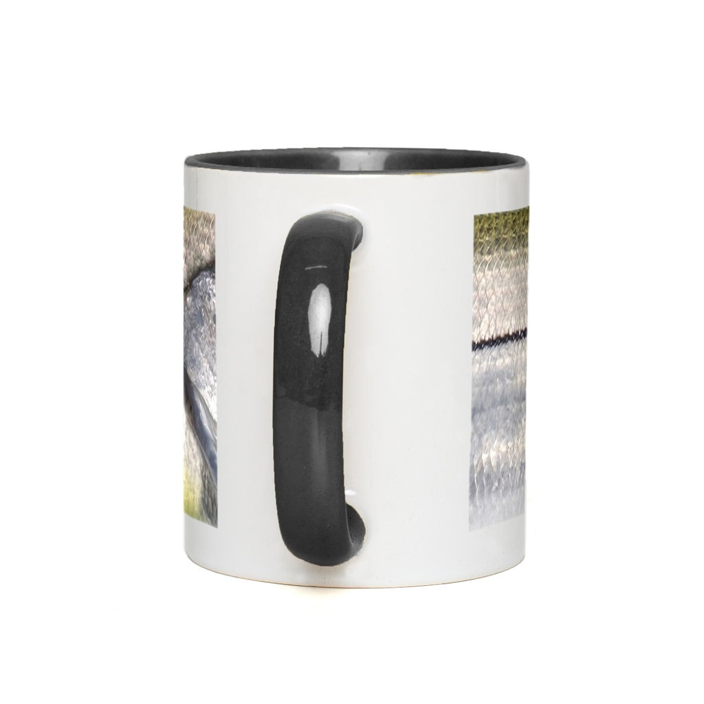 generated-proPreview-2