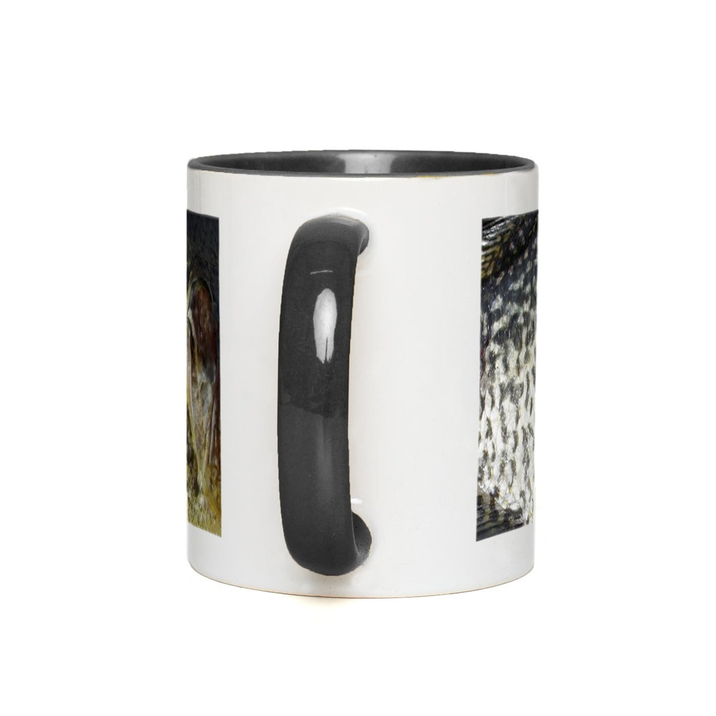 generated-proPreview-2