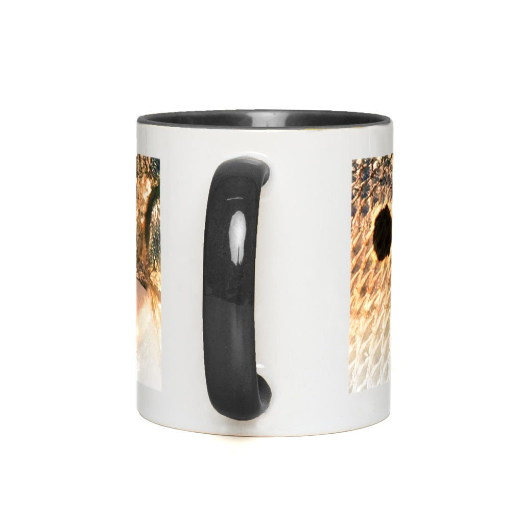 generated-proPreview-2