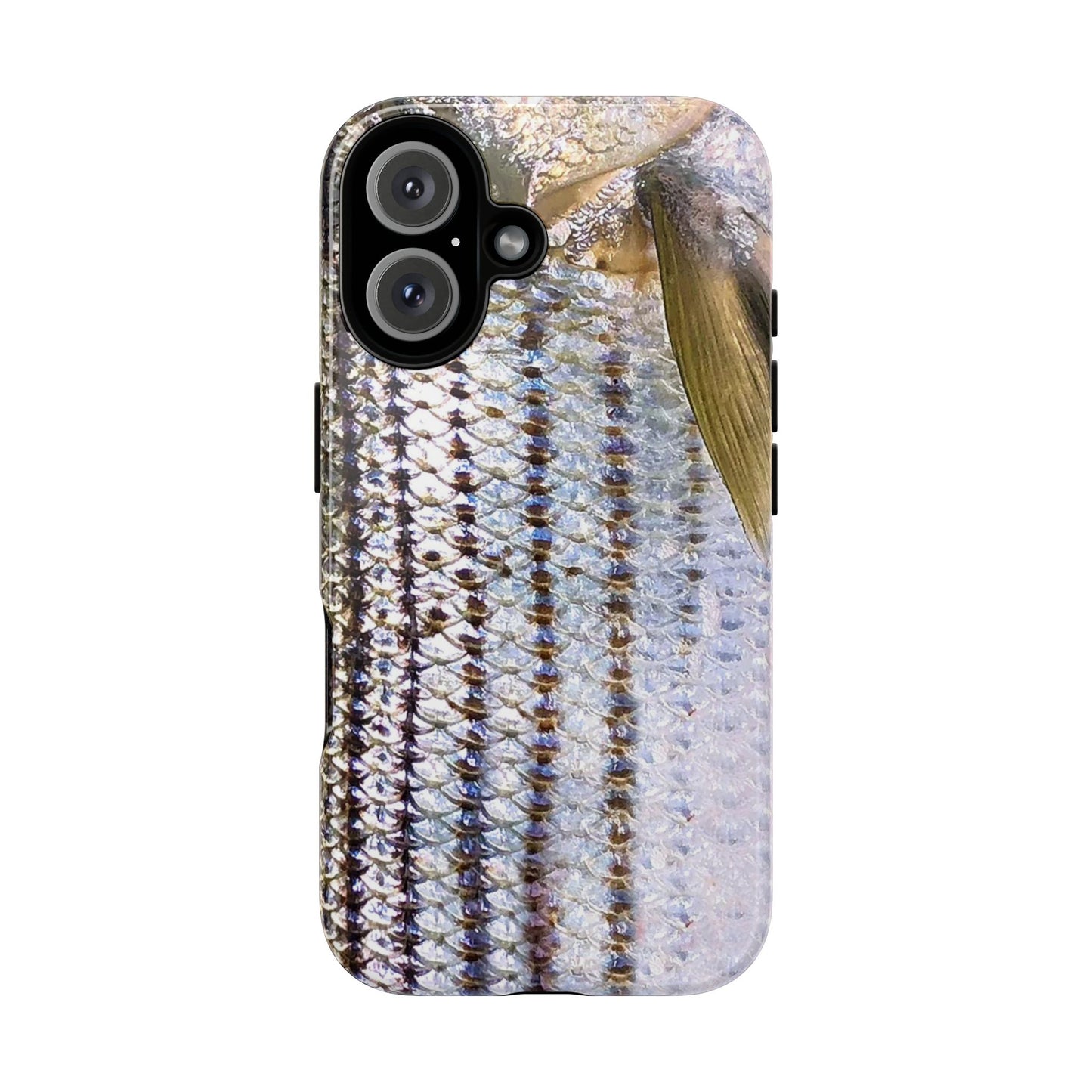 Striped Bass Phone Case