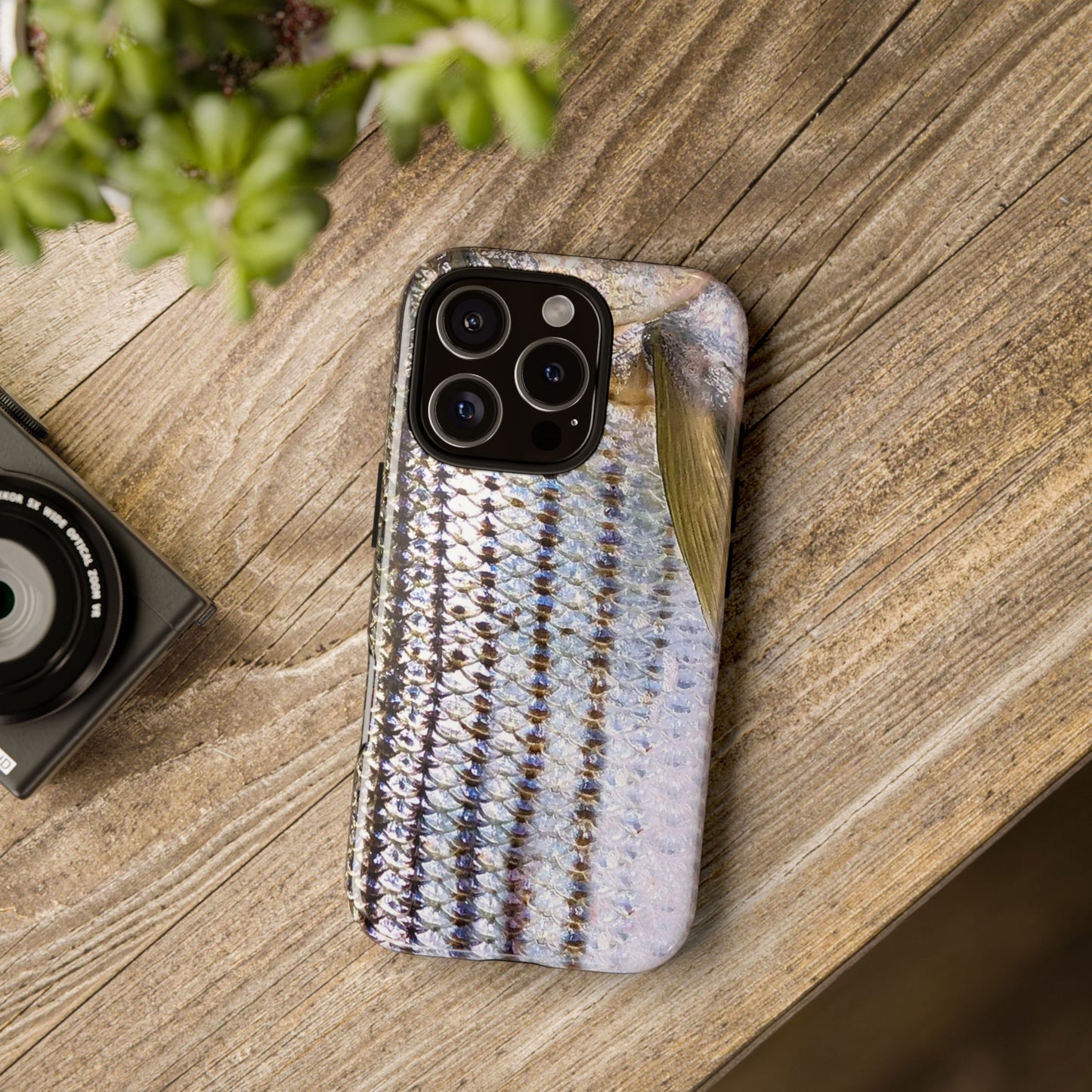 Striped Bass Phone Case