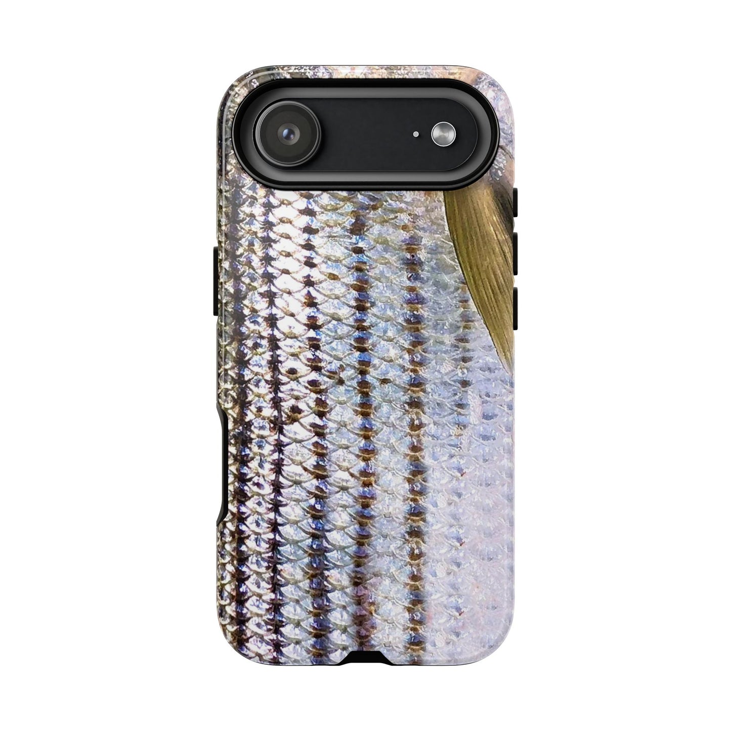 Striped Bass Phone Case