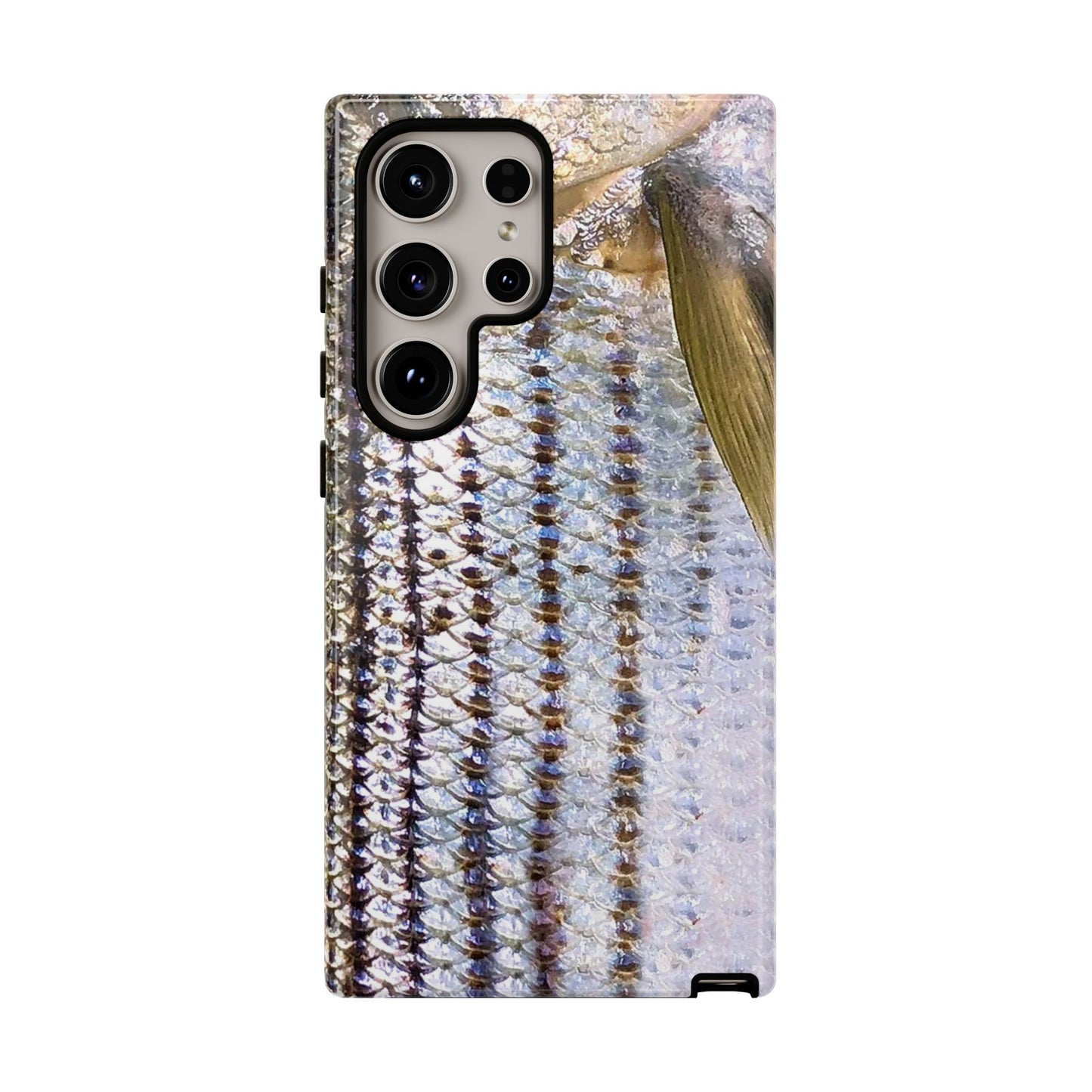 Striped Bass Phone Case