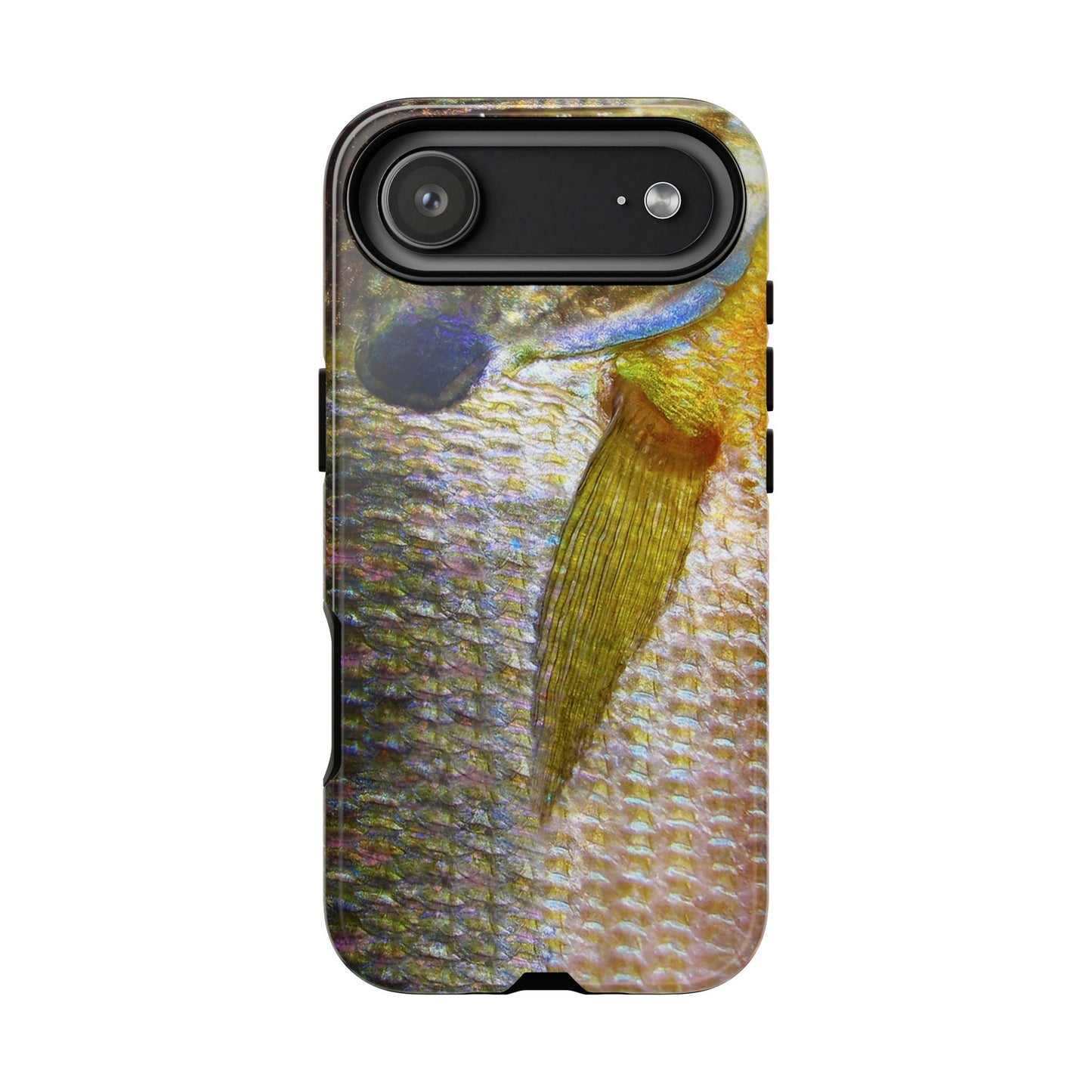 Bluegill Phone Case