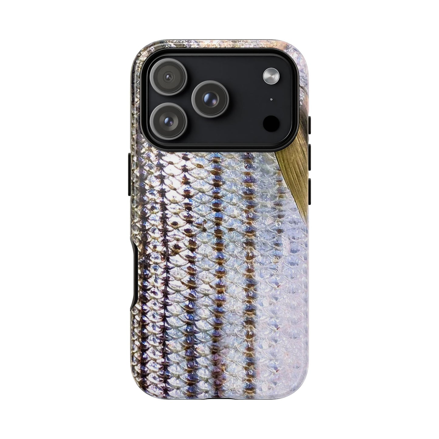 Striped Bass Phone Case