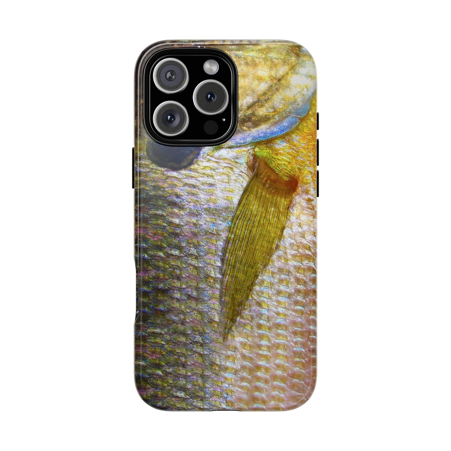 Bluegill Phone Case