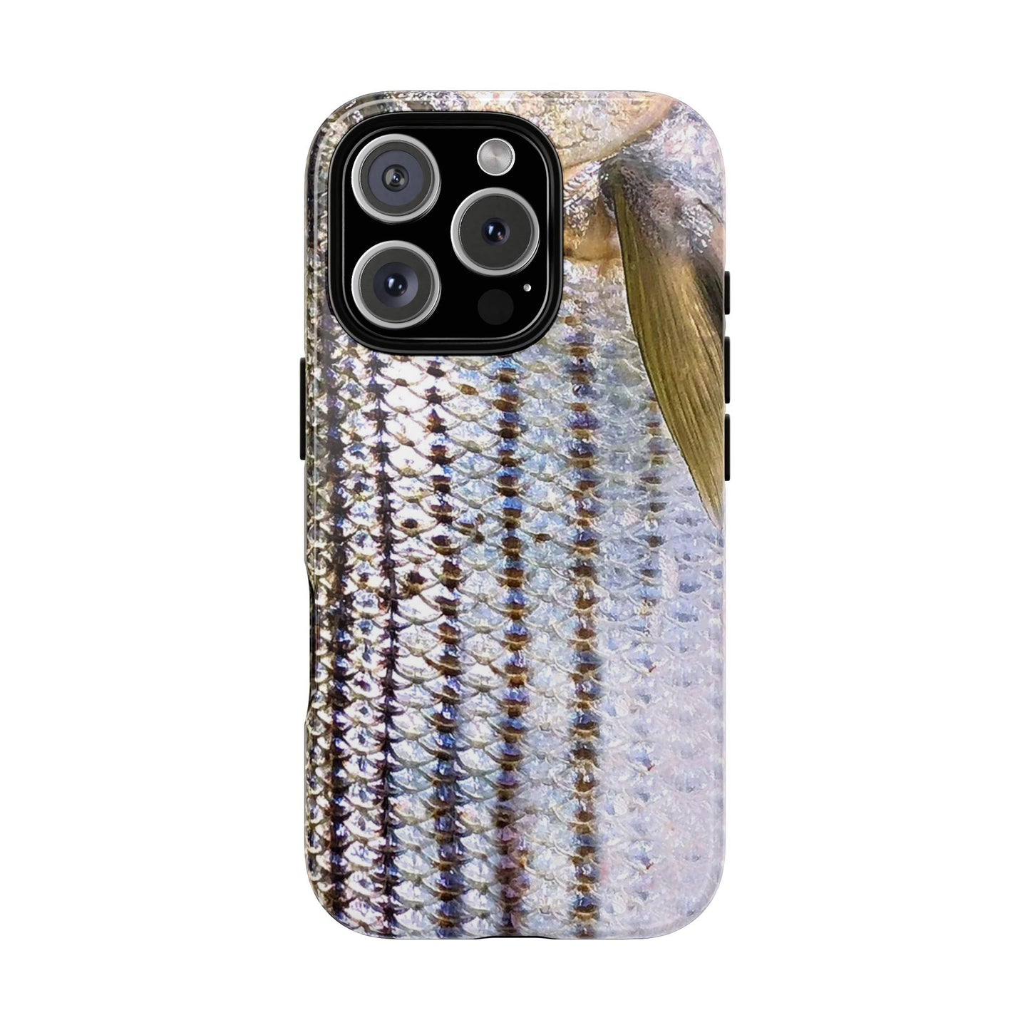 Striped Bass Phone Case