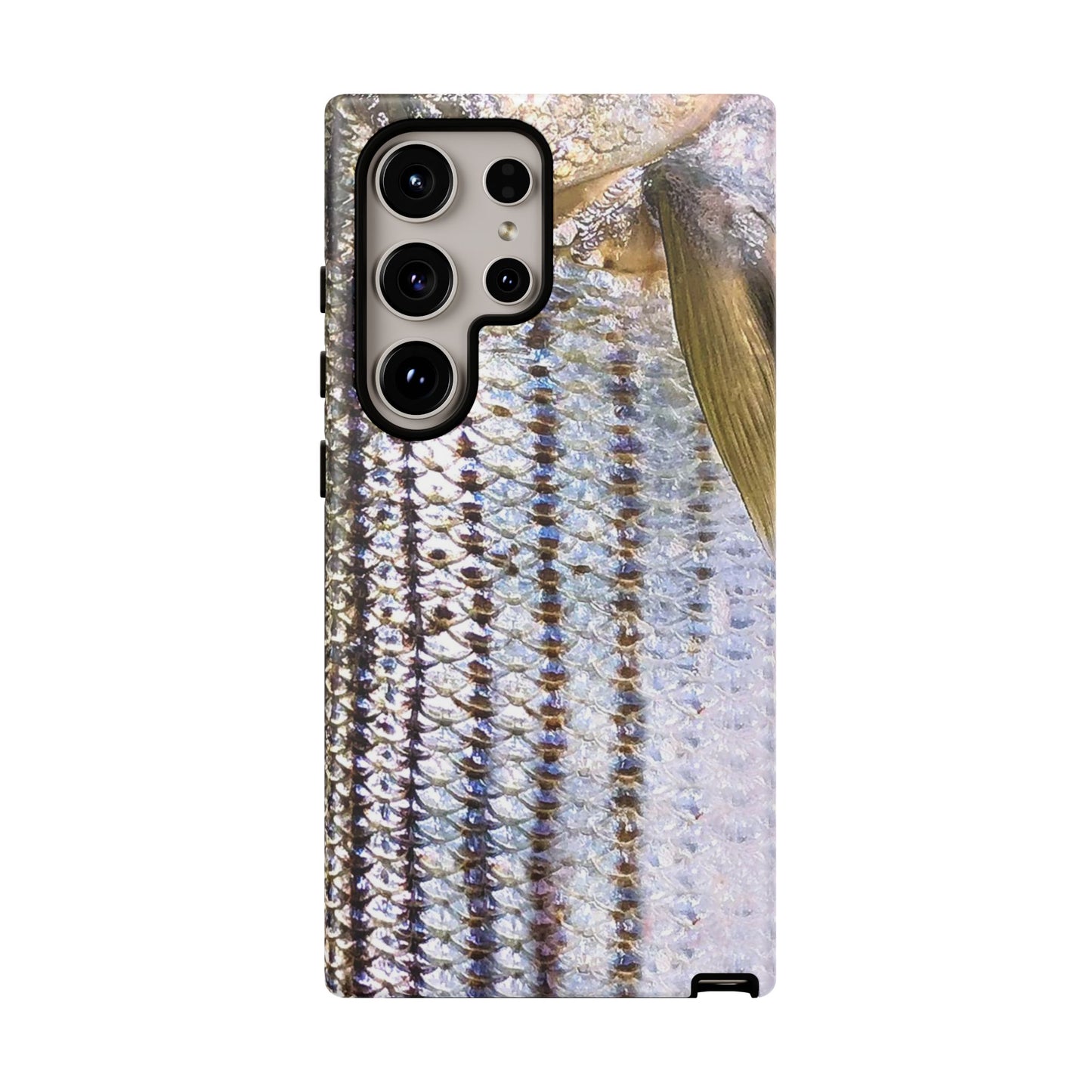 Striped Bass Phone Case