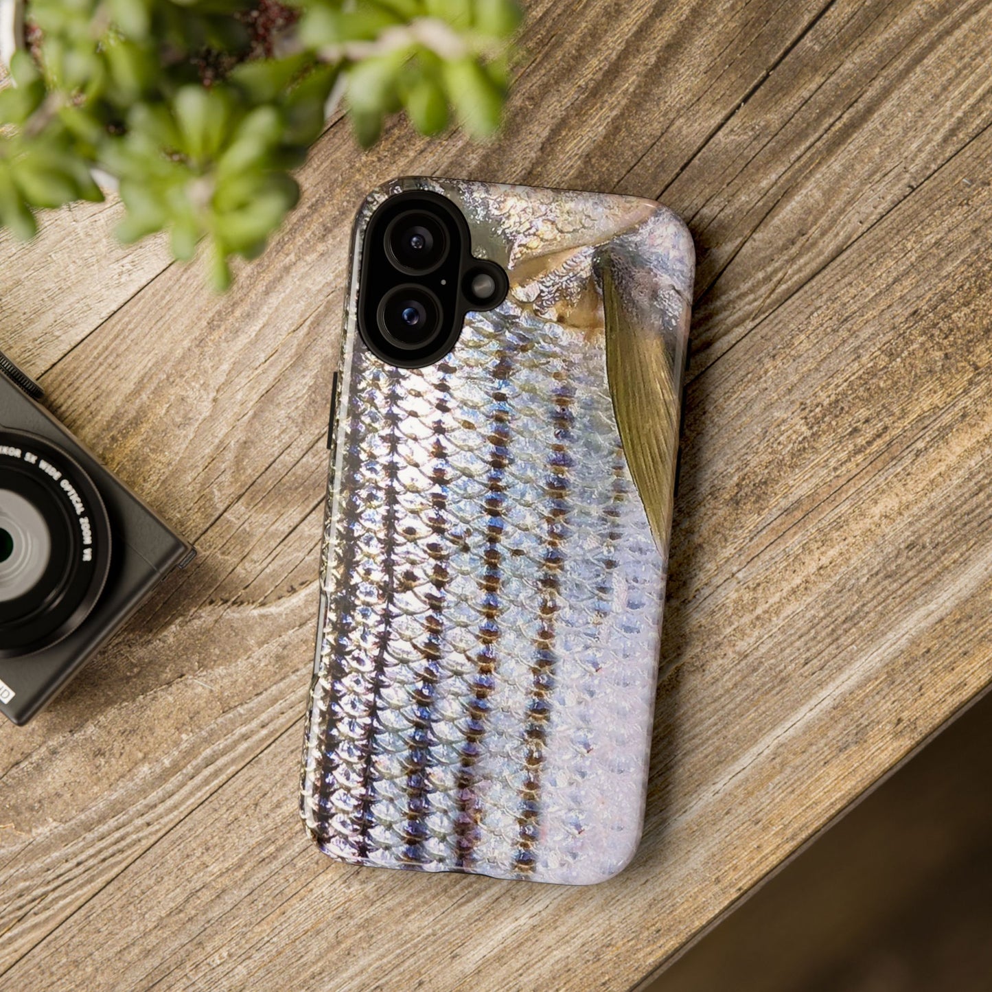 Striped Bass Phone Case