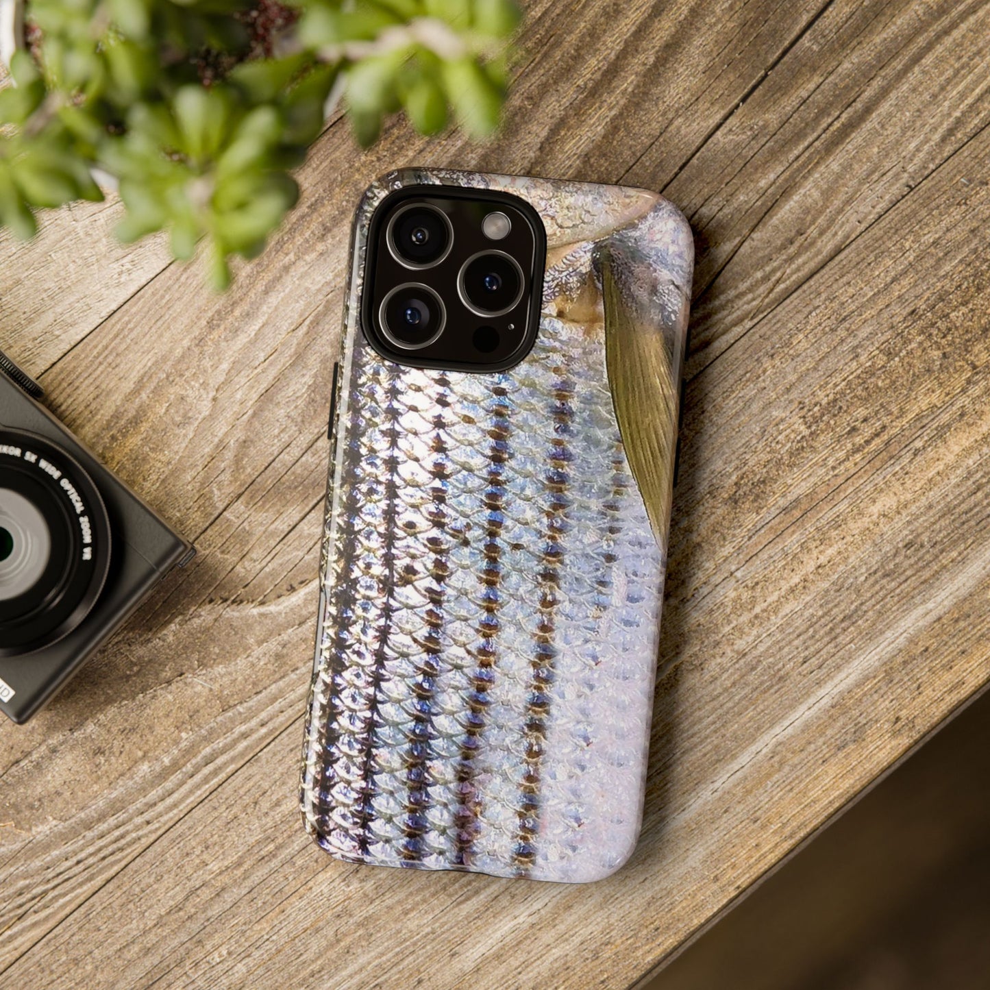 Striped Bass Phone Case