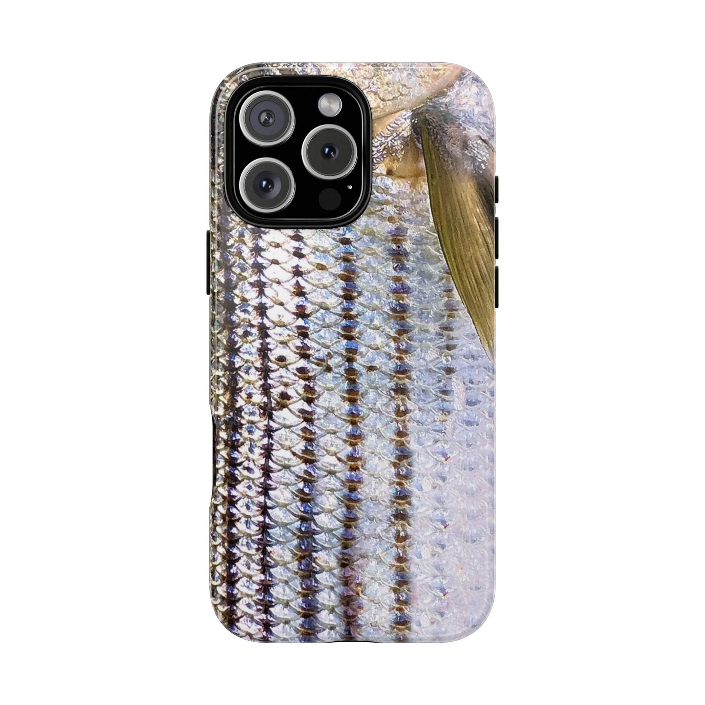 Striped Bass Phone Case