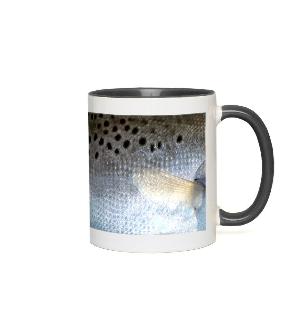 NEW! Real Spotted Seatrout Coffee Mug